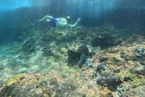 From Bali: Snorkeling 3 Spots with GoPro & West Penida Tour