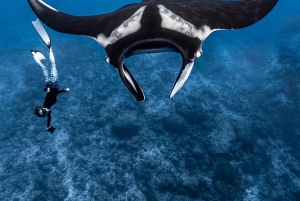 From Bali: Snorkeling at Manta Point Nusa Penida & Land Tour
