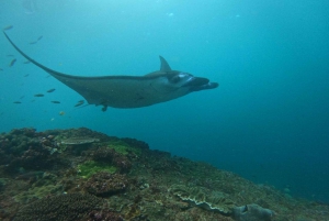From Bali: Snorkeling at Manta Point Nusa Penida & Land Tour