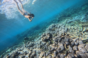 From Bali: Snorkeling at Manta Point Nusa Penida & Land Tour