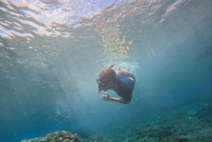 From Bali: Snorkeling at Manta Point Nusa Penida & Land Tour