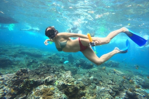 From Bali: Snorkeling at Manta Point Nusa Penida & Land Tour