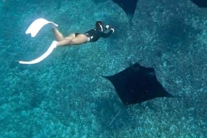 Desde Bali: esnórquel en Manta Point Nusa Penida y tour terrestre
