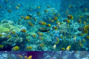 From Bali: 3 Snorkeling Spots Tour to Lembongan and Penida