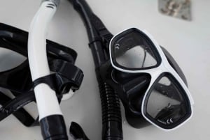 From Bali : Snorkeling & Nusa Penida Island Tour with Lunch
