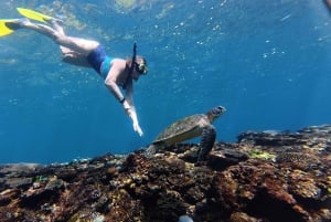 From Bali : Snorkeling & Nusa Penida Island Tour with Lunch
