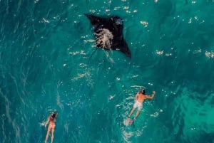 From Bali: Nusa Penida 3 Spots Snorkeling Tour & West Island