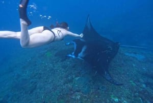 From Bali: Nusa Penida 3 Spots Snorkeling Tour & West Island