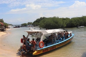 From Bali: Nusa Penida 3 Spots Snorkeling Tour & West Island