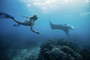 Vanuit Bali: Zwemmen met Manta's in Nusa Penida