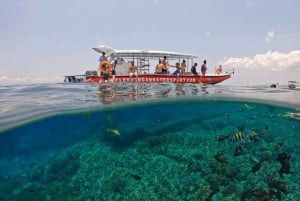 De Nadar com raias-manta em Nusa Penida