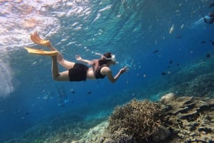 Z Pływaj z mantami na Nusa Penida