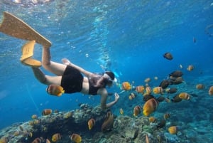 Swim with Manta Rays in Nusa Penida