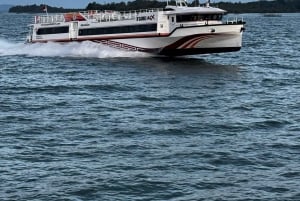 From Bali: Swim with Manta Rays in Nusa Penida