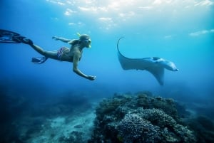 From Bali: Swim with Manta Rays in Nusa Penida