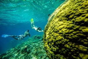 From Bali: Swim with Manta Rays in Nusa Penida