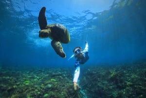 From Bali: Swim with Manta Rays in Nusa Penida