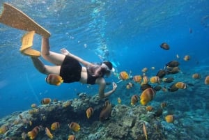 From Bali: Swim with Manta Rays in Nusa Penida