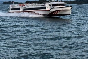 From Bali: Swim with Manta Rays in Nusa Penida