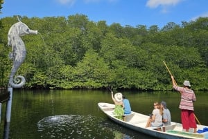 From Bali: Swim with Manta Rays in Nusa Penida