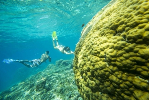 From Bali: Swim with Manta Rays in Nusa Penida