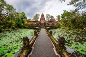 Depuis Bali : Temple de Saraswati, forêt de singes, chutes d'eau d'Ubud
