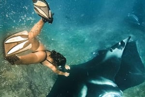 From Bali: West Nusa Penida & Snorkeling Full Day Tour