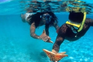 De Bali: Nusa Penida Ocidental e excursão de dia inteiro para mergulho com snorkel