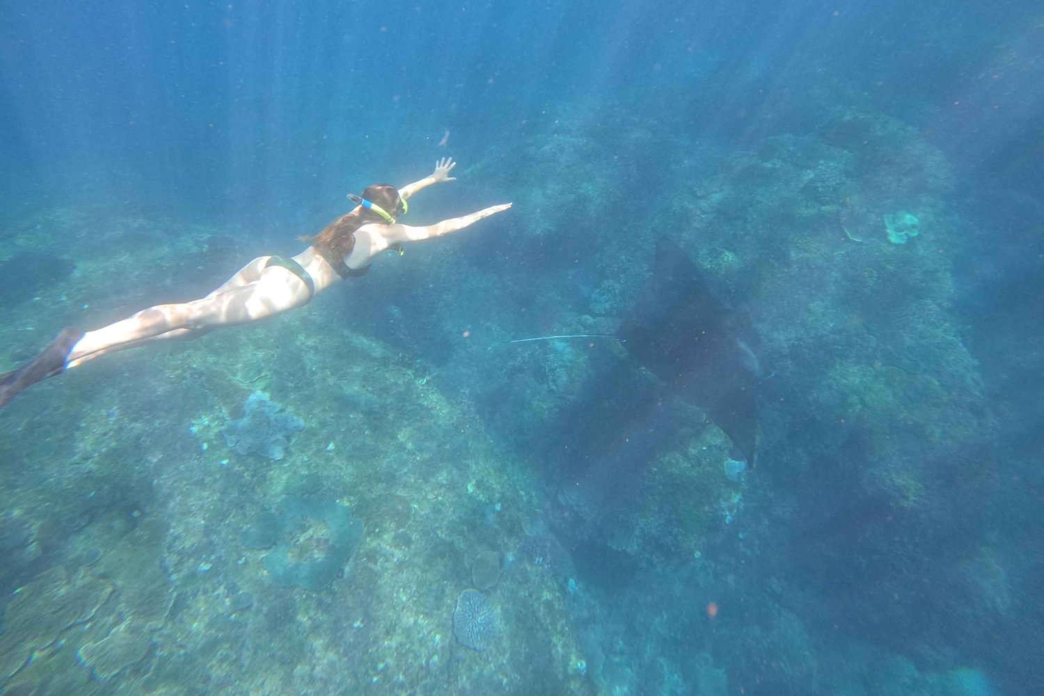 Fra Ceningan: Snorkling med mantarokker og landtur
