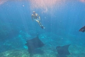 Fra Ceningan: Snorkling med mantarokker og landtur