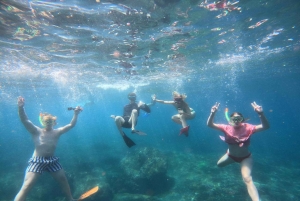 Fra Ceningan: Snorkling med mantarokker og landtur