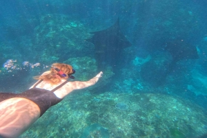 Fra Ceningan: Snorkling med mantarokker og landtur