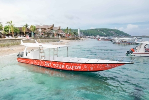Fra Ceningan: Snorkling med mantarokker og landtur