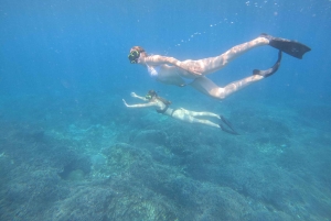 Fra Ceningan: Snorkling med mantarokker og landtur