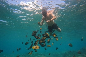 Fra Ceningan: Snorkling med mantarokker og landtur