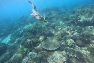 Fra Ceningan: Snorkling med mantarokker og landtur