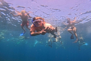 Fra Ceningan: Snorkling med mantarokker og landtur