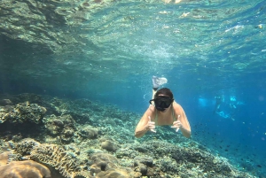 From Ceningan: Snorkeling with Turtle Experience