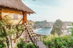 From Lembongan: Private Highlights East and West Nusa Penida