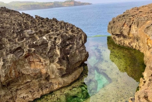 From Lembongan: Private Highlights East and West Nusa Penida