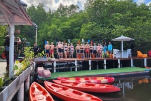 Von Lembongan aus: Erkunde die Mangroven mit Kajak/Paddelbrett/Boot