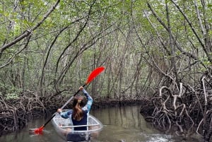 Von Lembongan aus: Erkunde die Mangroven mit Kajak/Paddelbrett/Boot