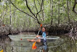 Von Lembongan aus: Erkunde die Mangroven mit Kajak/Paddelbrett/Boot