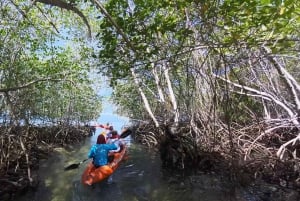 Von Lembongan aus: Erkunde die Mangroven mit Kajak/Paddelbrett/Boot