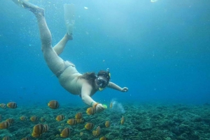 De Lembongan: Excursão privada de snorkeling a Nusa Penida