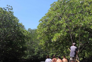 De Lembongan: Excursão privada de snorkeling a Nusa Penida