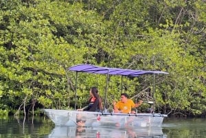 From Lembongan: Kayak/Paddleboard/Boat Mangrove Tour