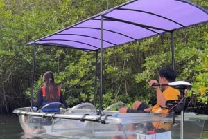From Lembongan: Kayak/Paddleboard/Boat Mangrove Tour