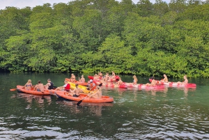 From Lembongan: Kayak/Paddleboard/Boat Mangrove Tour