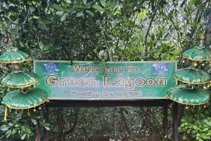 From Lembongan: Kayak/Paddleboard/Boat Mangrove Tour